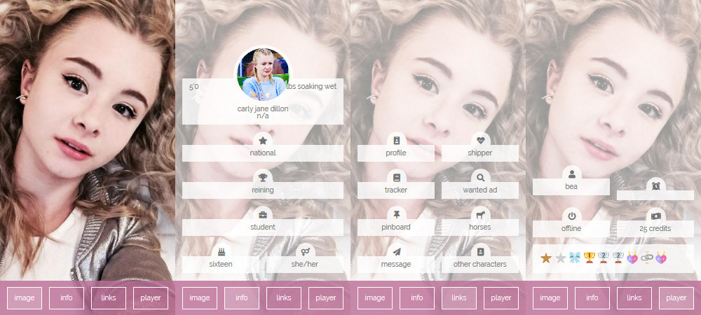Mini Profile - Tabs 1 to 4