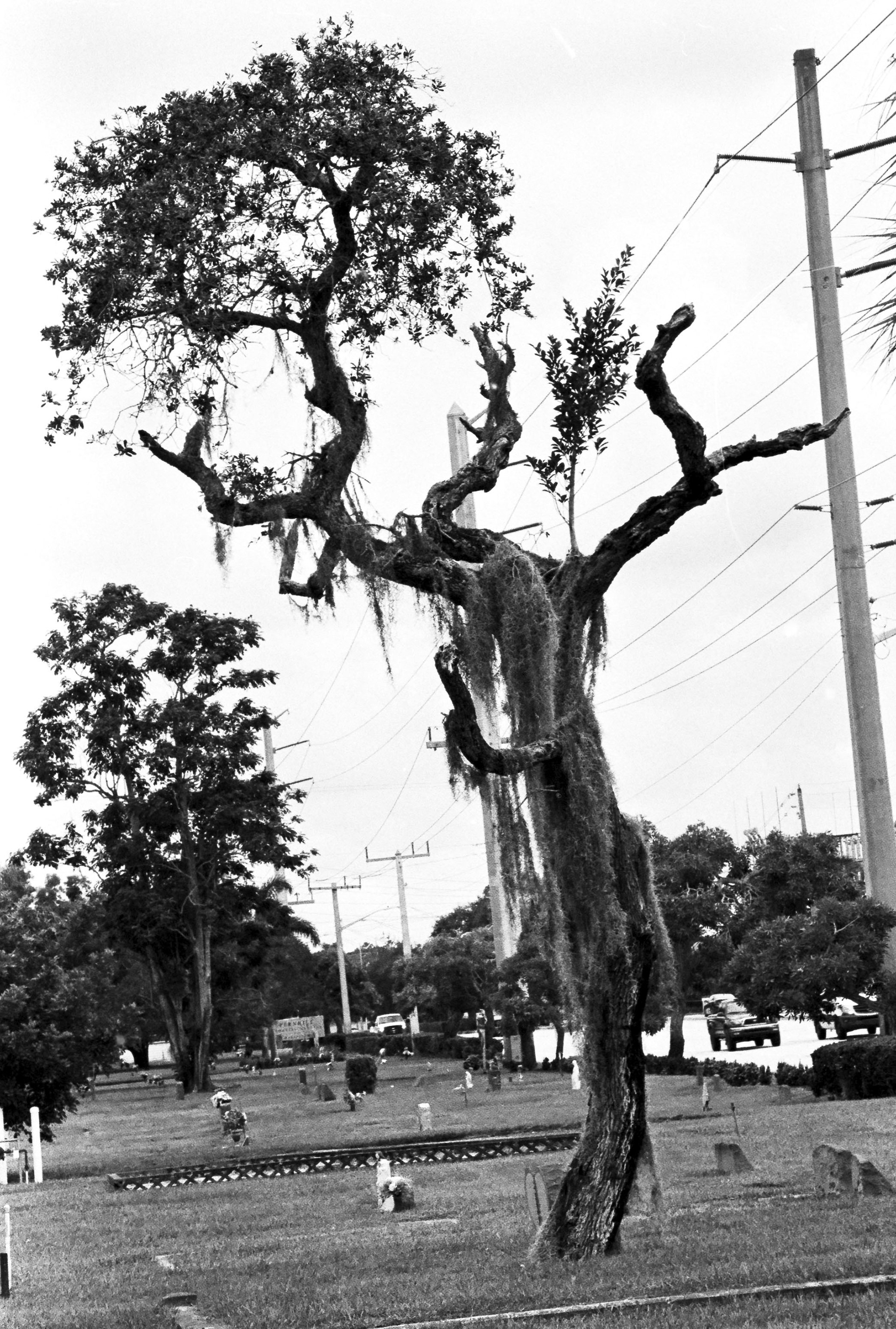 Ilford hp5 400
