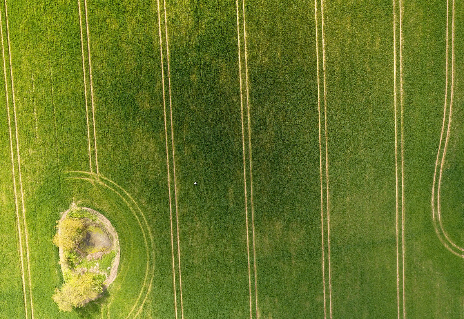 Essex Fields, United Kingdom