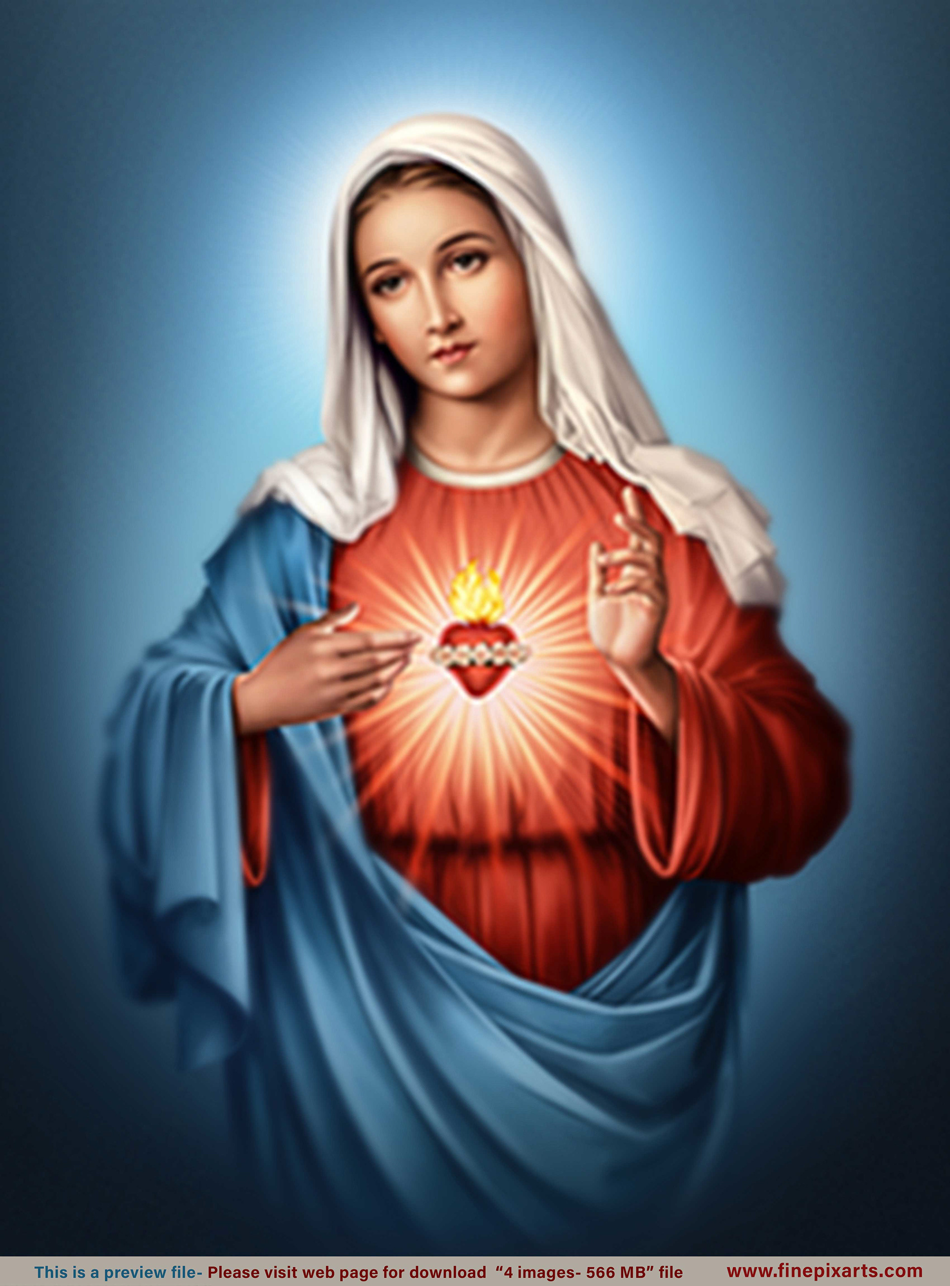 Reji Joseph - IMMACULATE HEART OF MARY BLUE- 141 MB