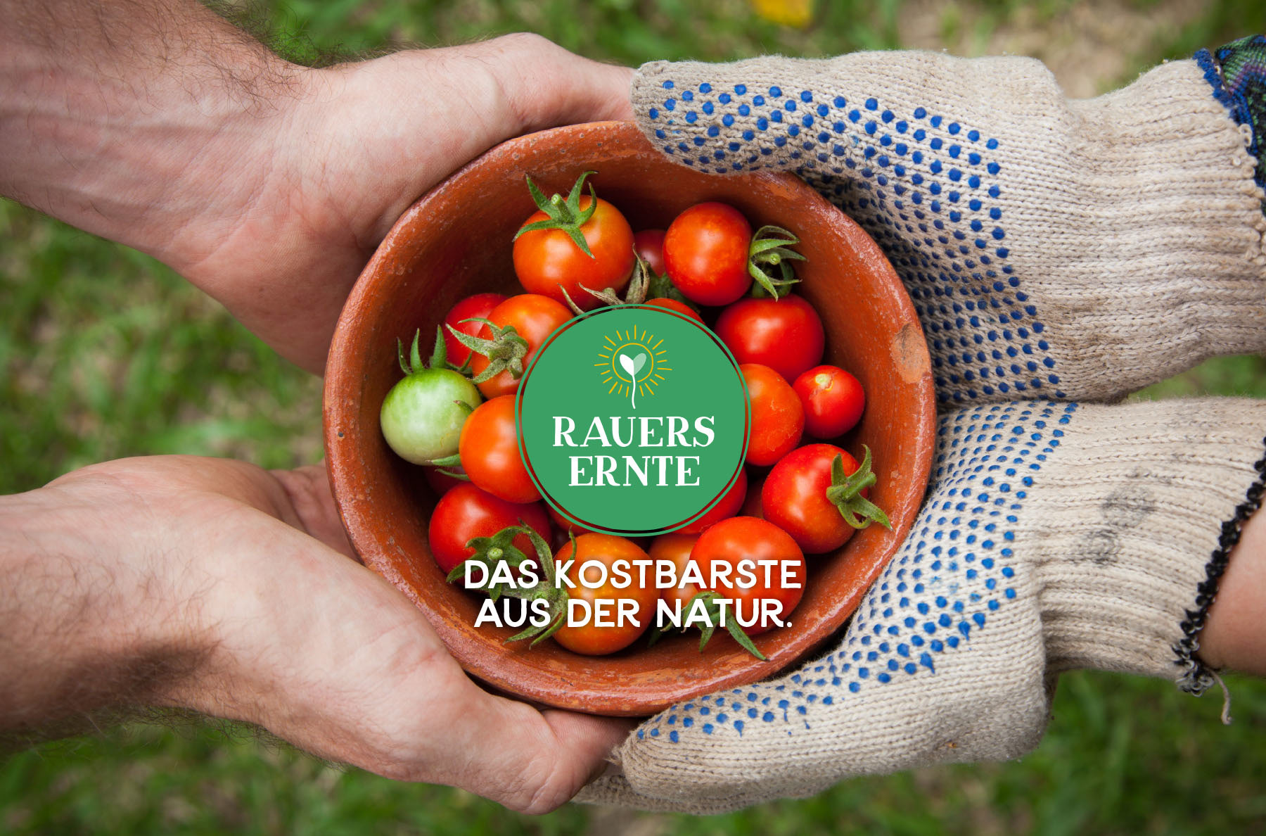 Rauers Ernte, Das Kostbarste aus der Natur, Tomaten