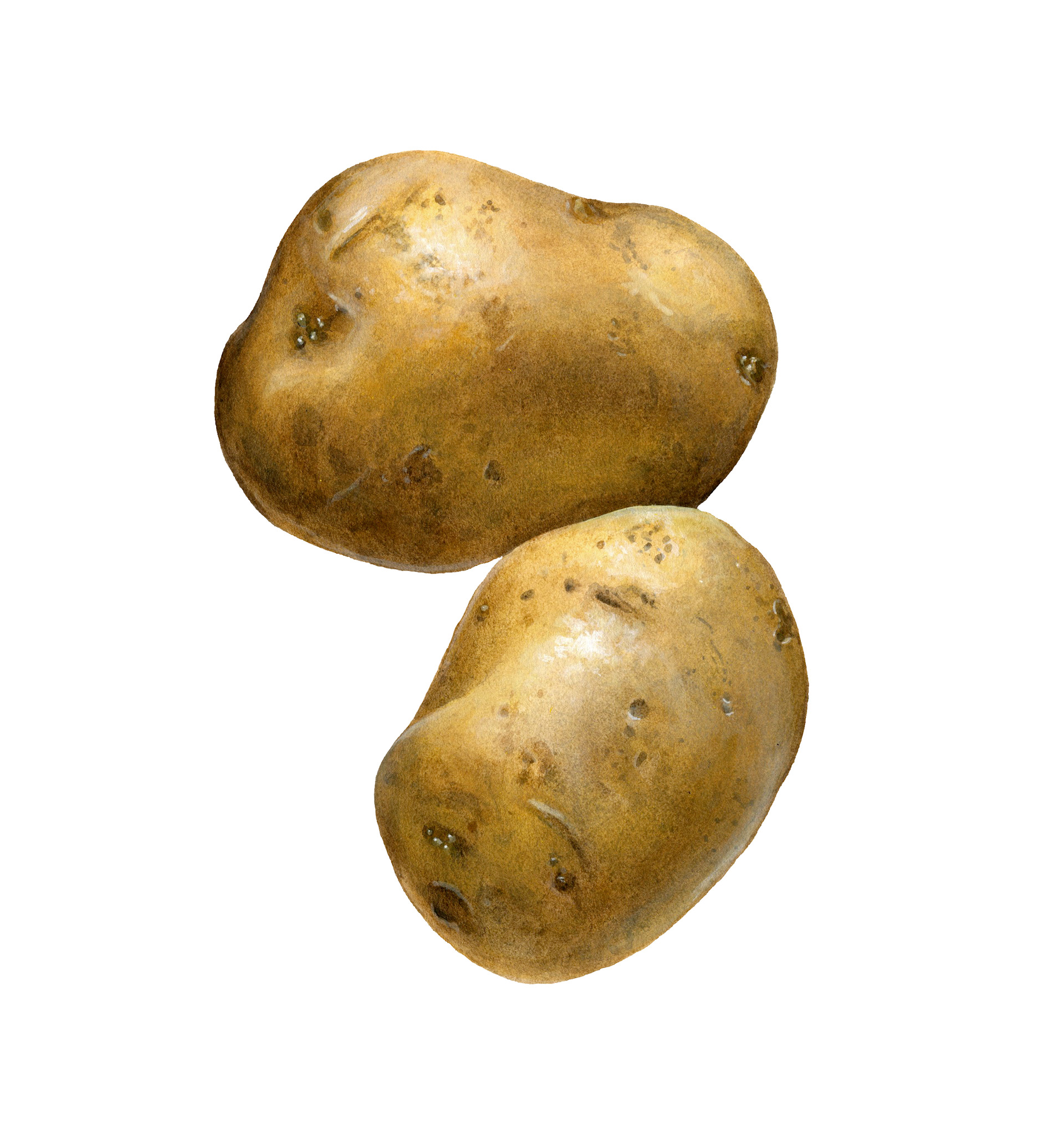 Kelsey Wilson - Yellow Potatoes