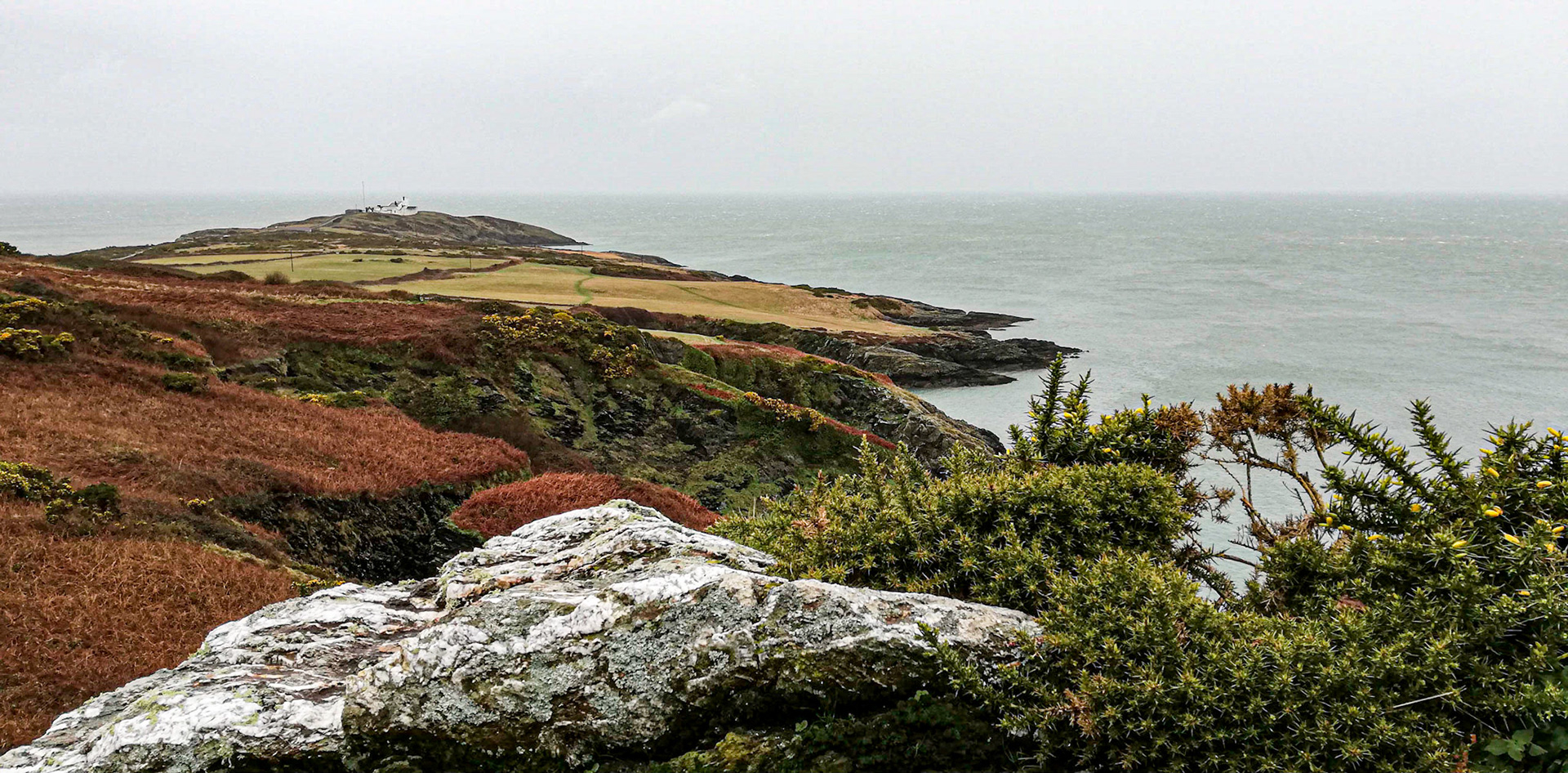 Coast of Point Lynas, Anglesey