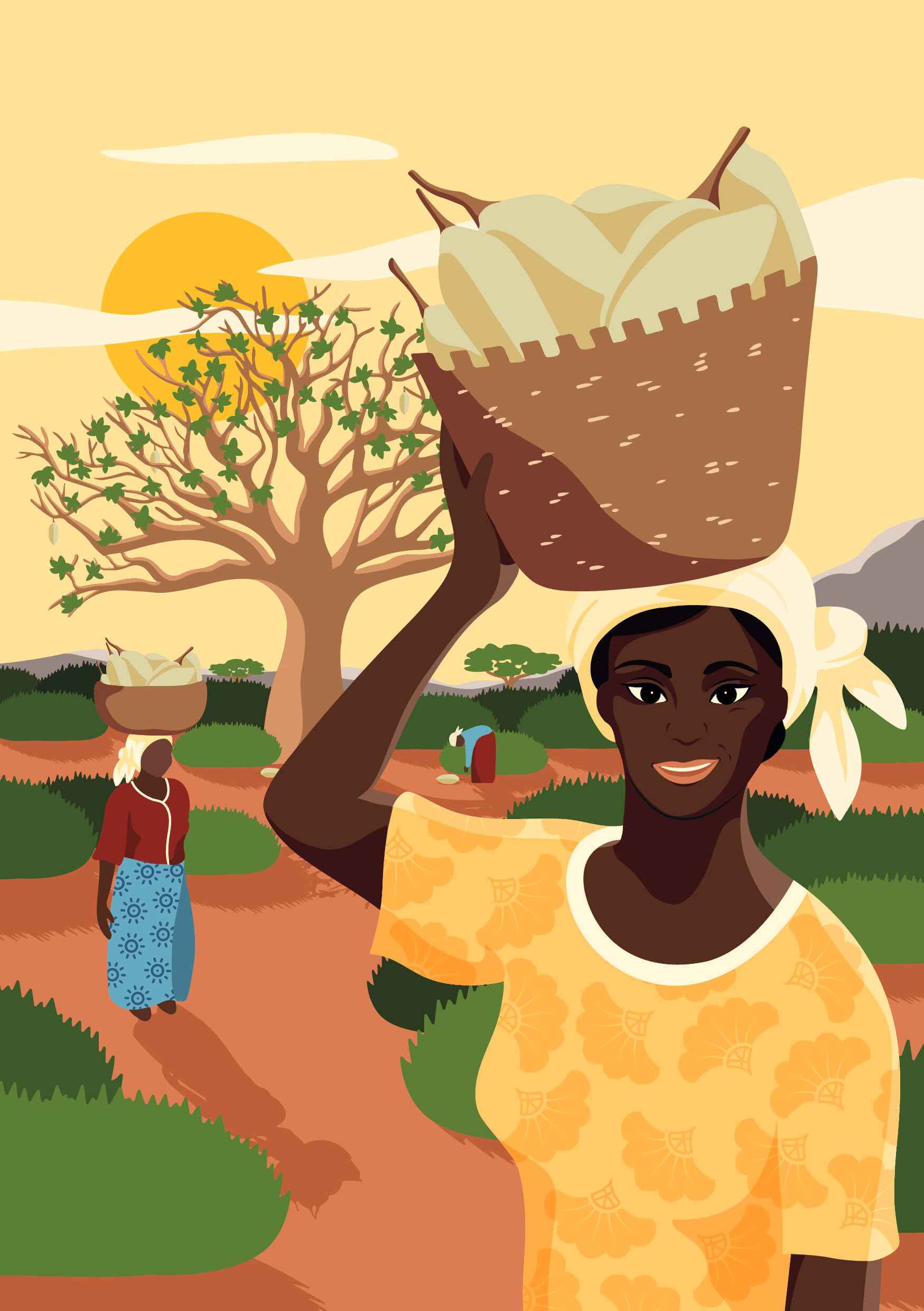 Step 2: Harvest of plants by the local community members