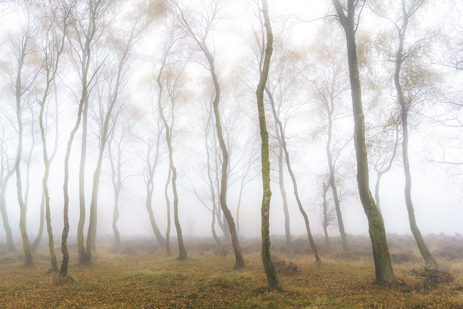 Stanton moor