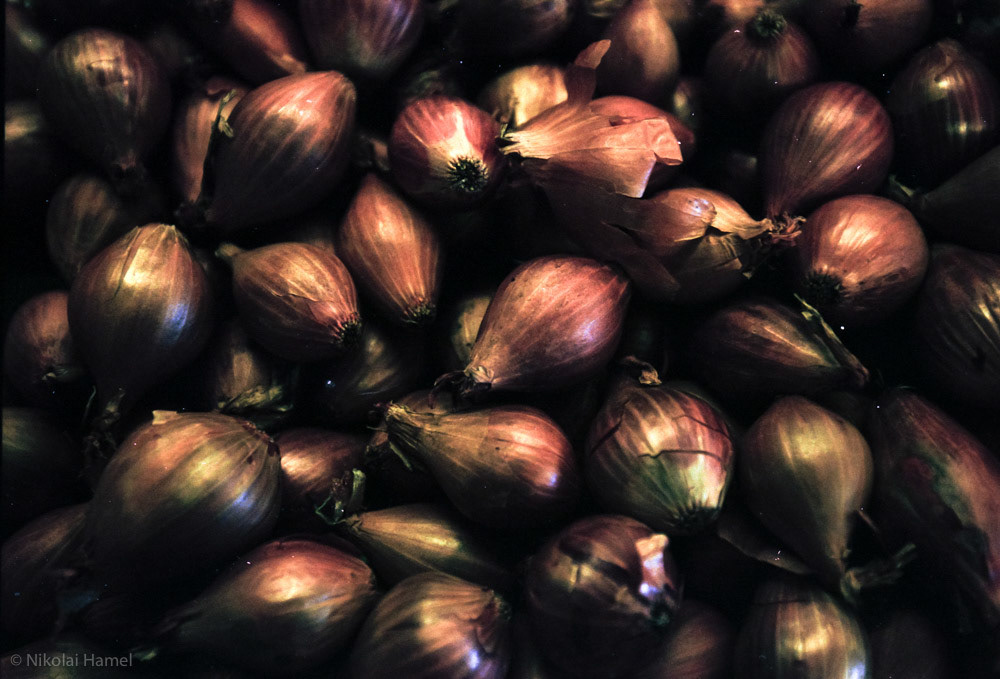 Shallots | Nikon F5, Kodak Portra 160-135, 16-35mm 1.4 G ED