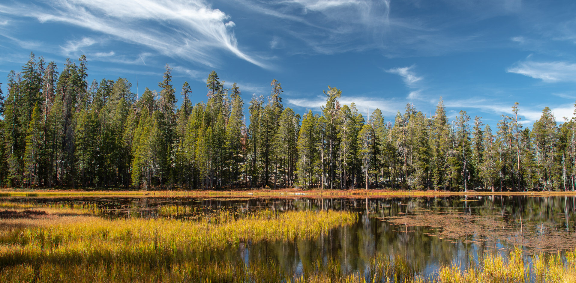 Yosemite National Park