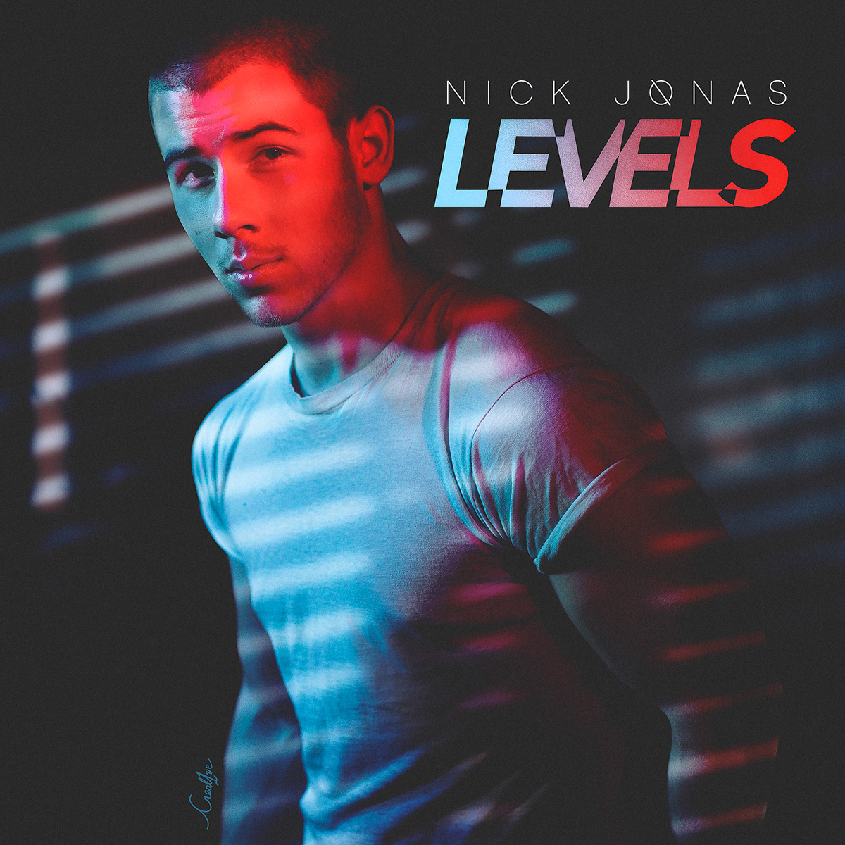 Creat1ve Portfolio of Nicholas J. Davison Nick Jonas Levels