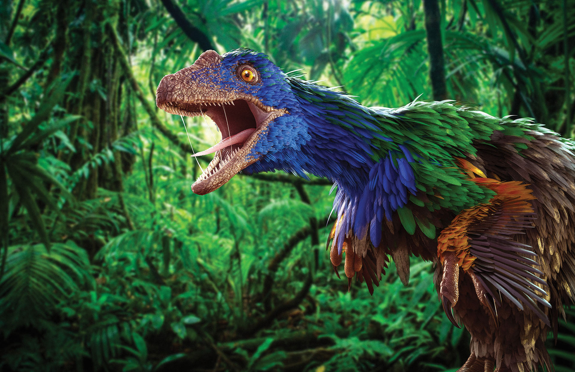 caihong dinosaur