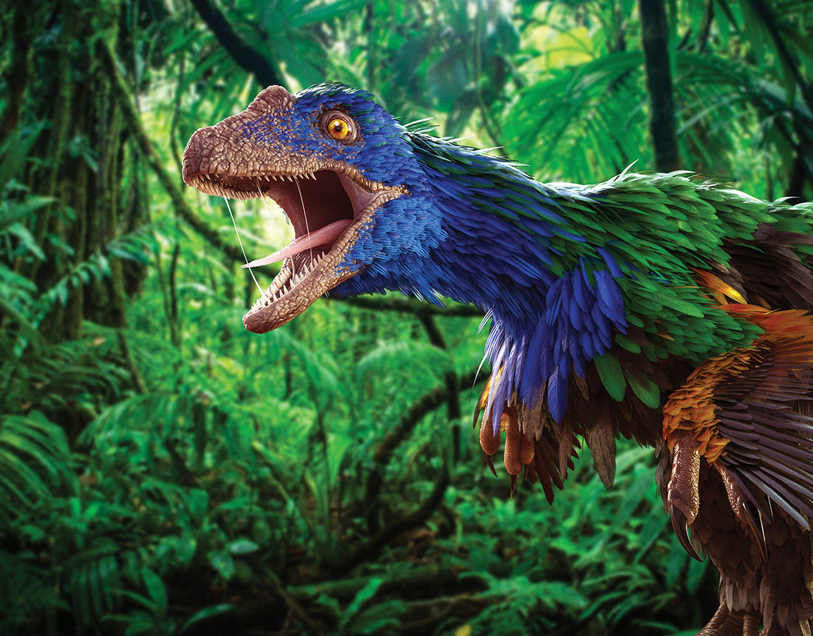 Magictorch : Illustration and Motion - Feathered Dinosaur 'Caihong Juji'