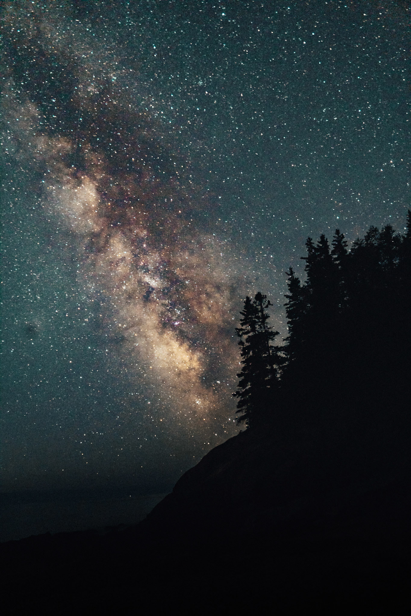 Acadia Nights