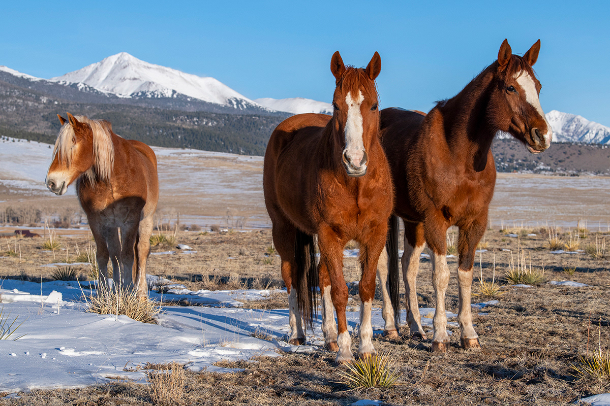 Music Meadows Ranch, Westcliffe, Colorado