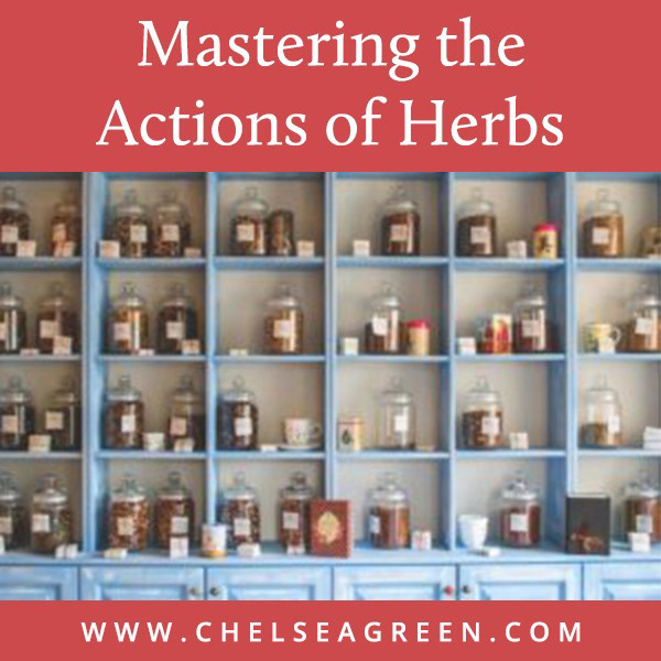 Pinterest - Mastering the Actions of Herbs (Chelsea Green Publishing)