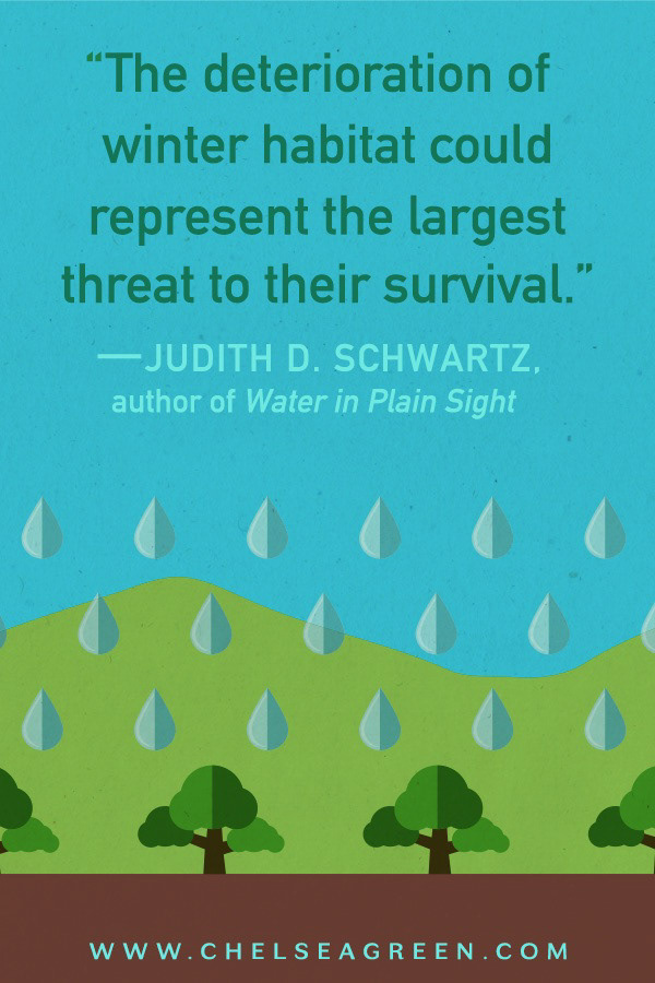 Pinterest Book Quote "Water in Plain Sight" (Chelsea Green Publishing)
