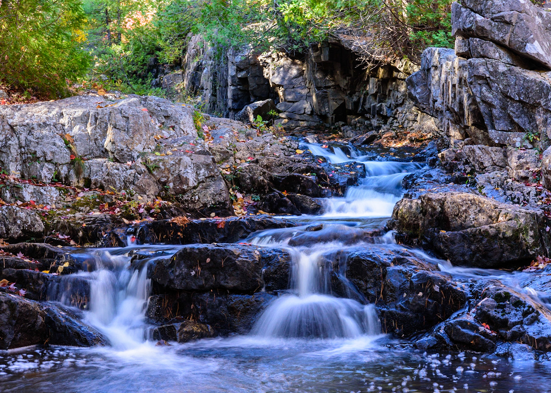 Duck Brook, Acadia NP