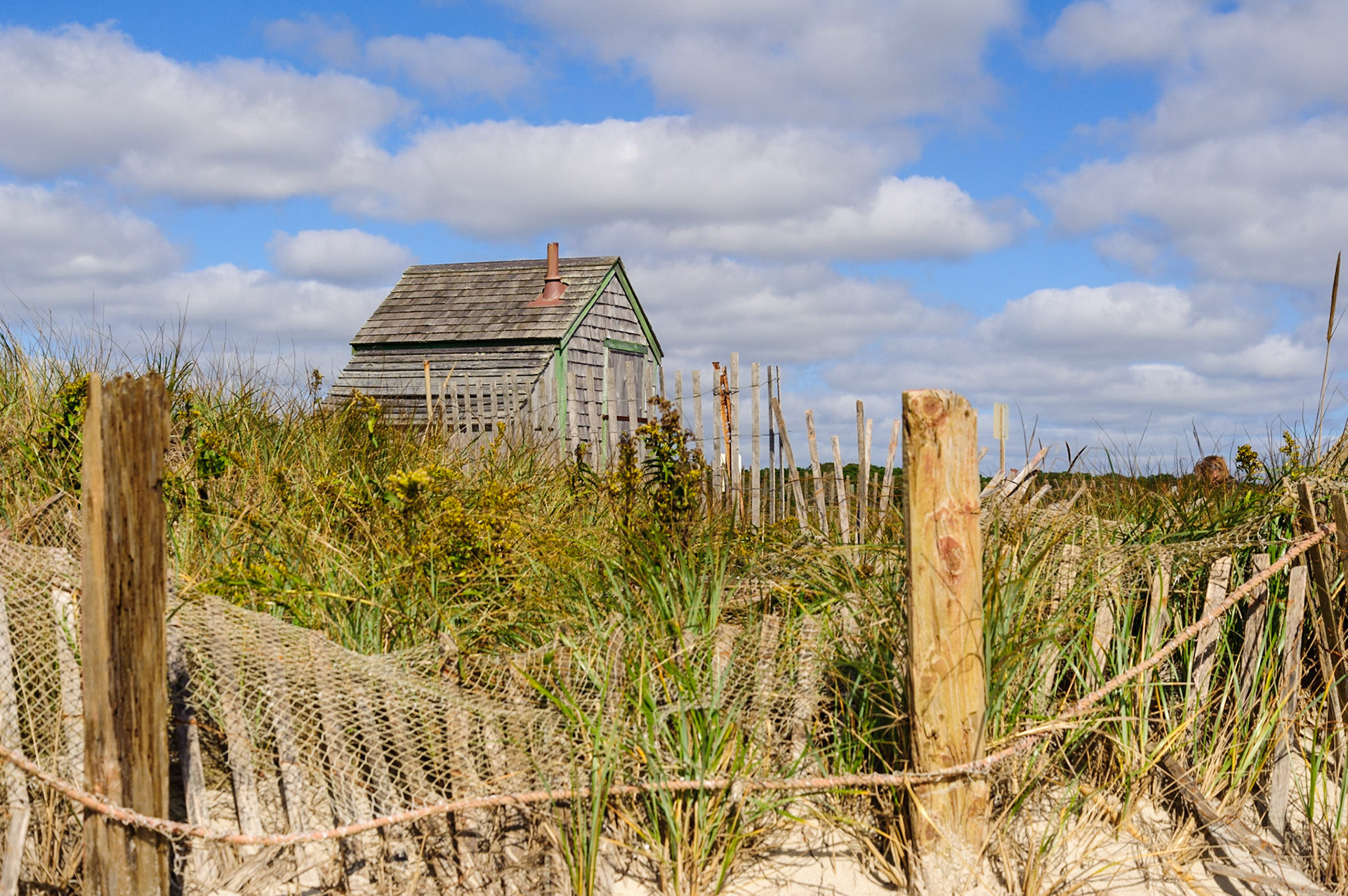 Cape Cod Shore