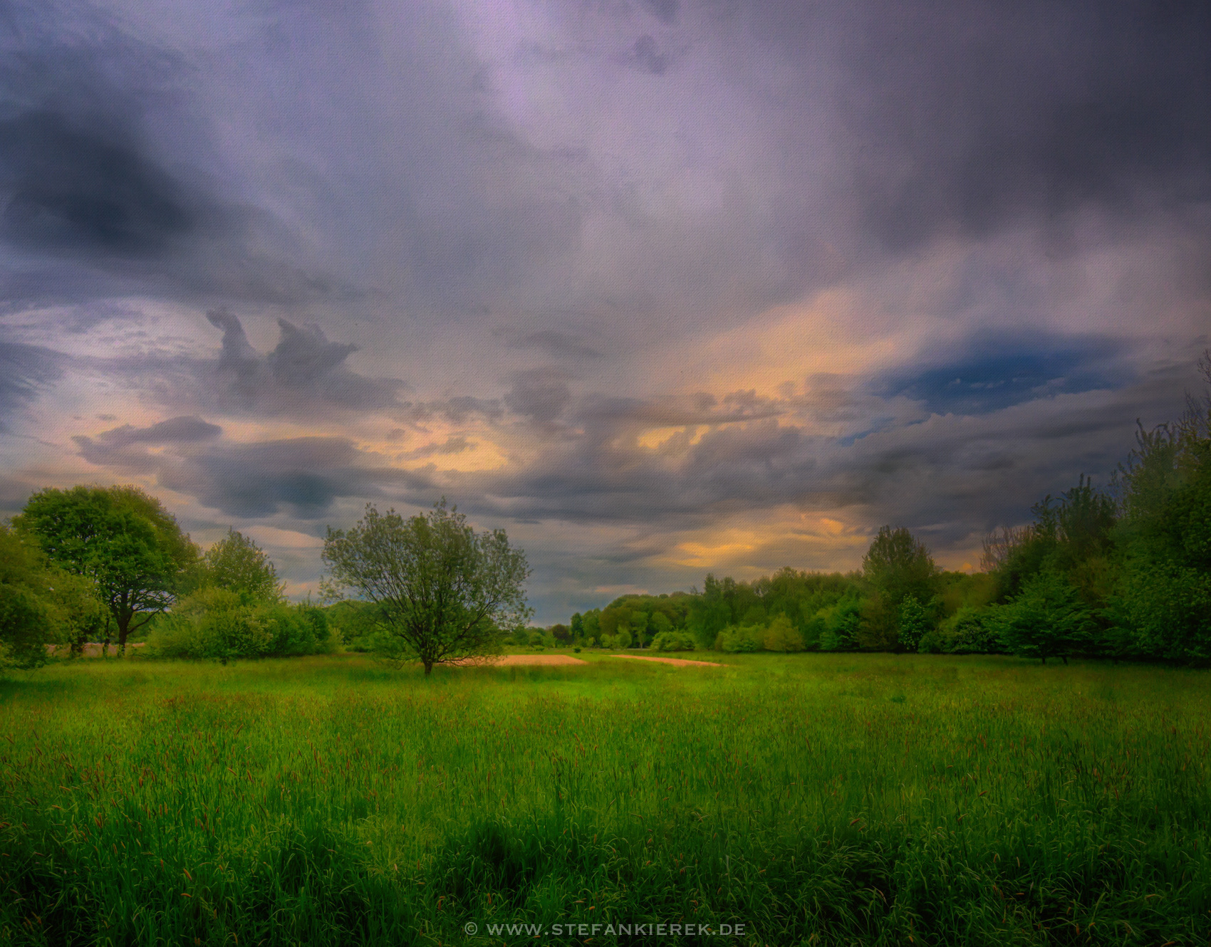 Stefan Kierek - Radonart - Dark forest