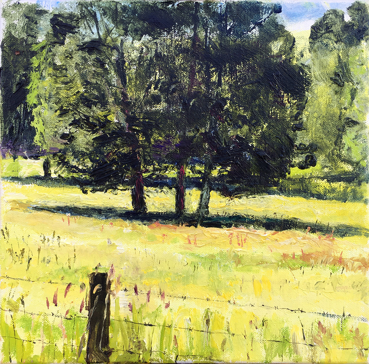Meadow, oil on canvas, 20x19 cm
