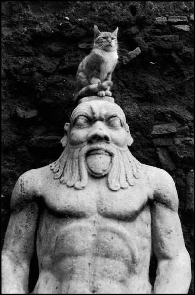 Elliot Erwitt