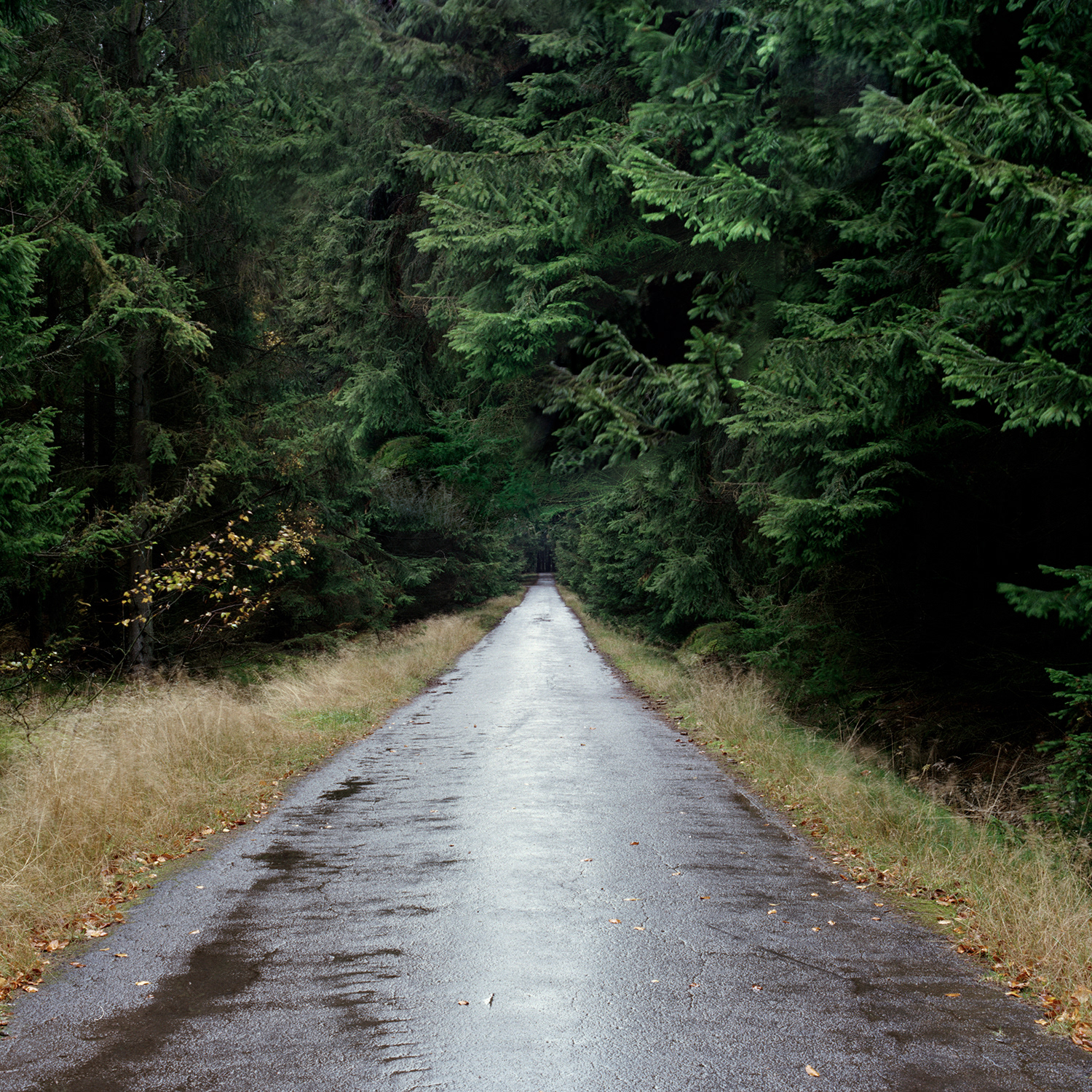 Closed Road