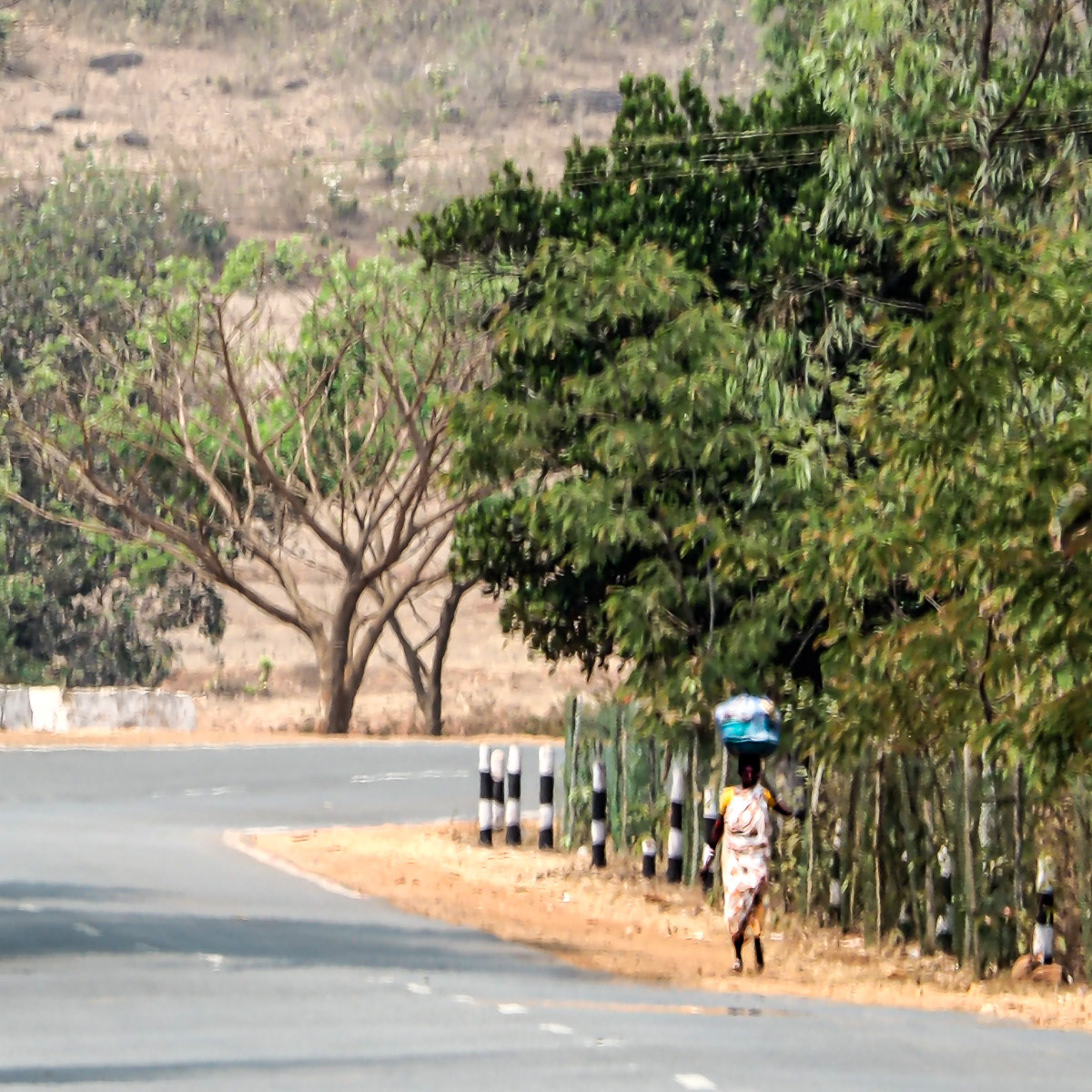 Odisha, Koraput