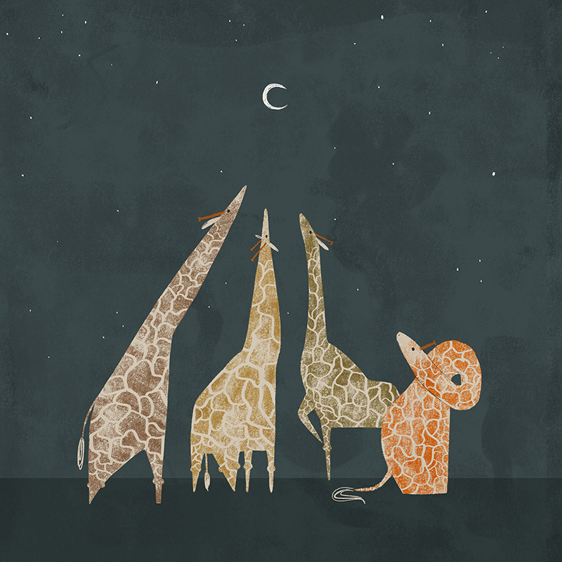 Giraffes