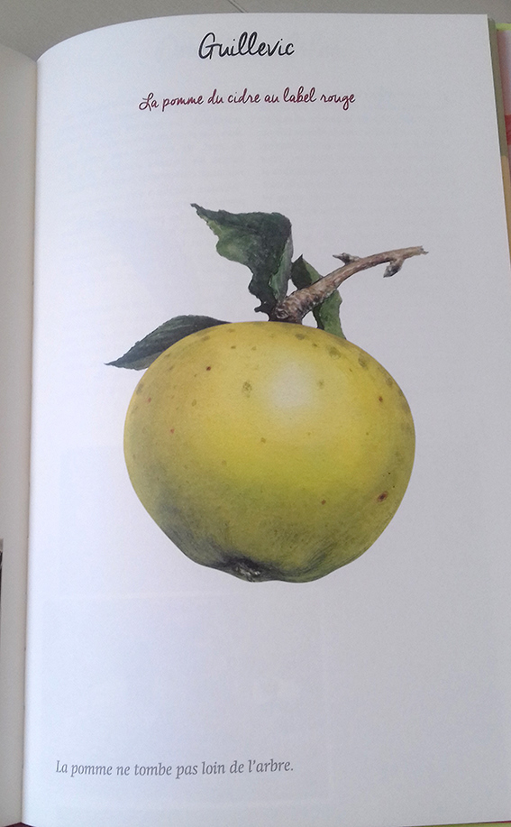 Tomber dans les pommes