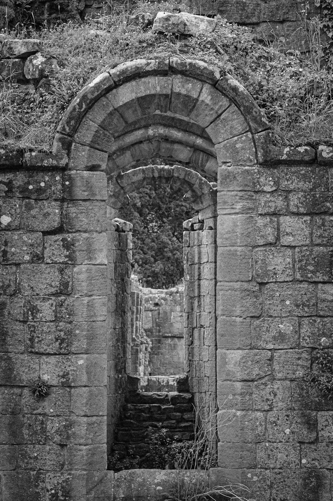 Fountains Abbey