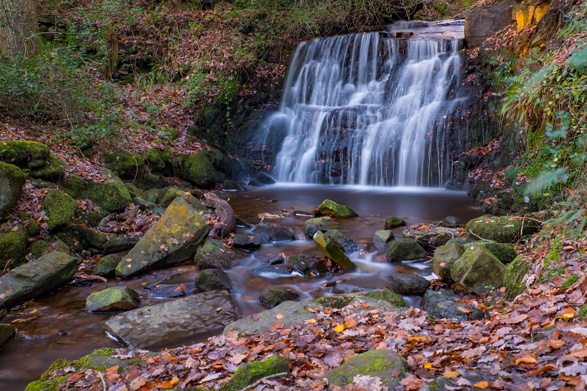 River and woodland waterfall, Rivington, Lancashire