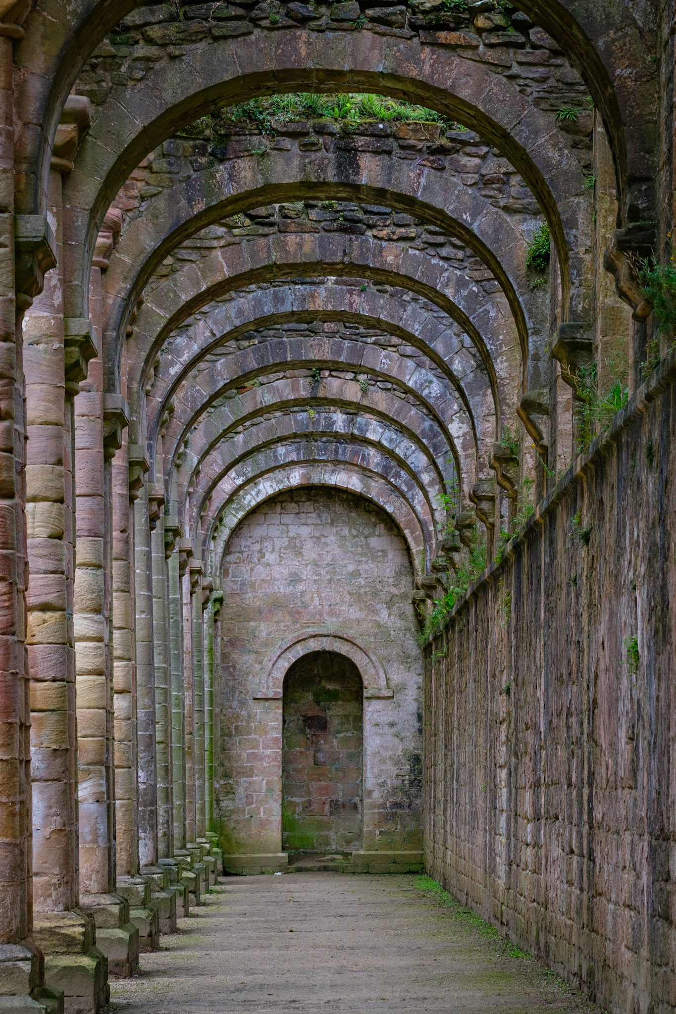 Fountains Abbey