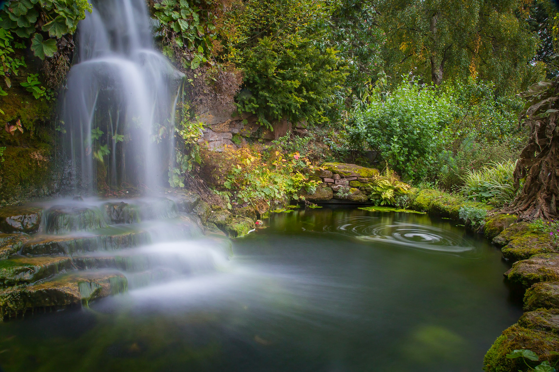 Ness Gardens in Autumn