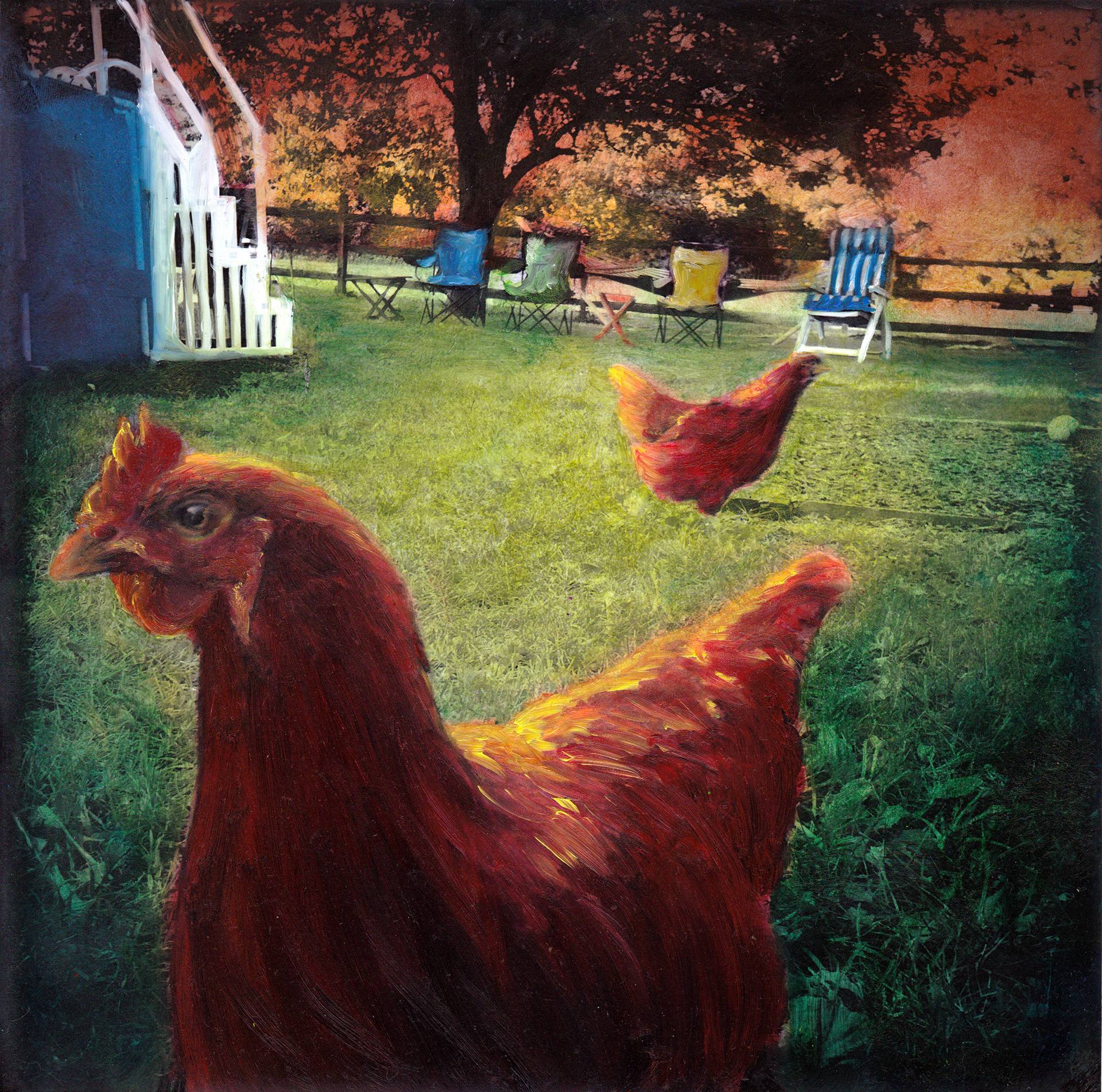 "Party Chickens"