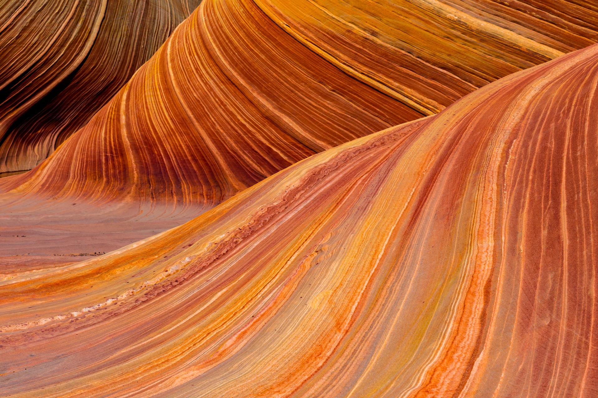 THE WAVE - ARIZONA - USA