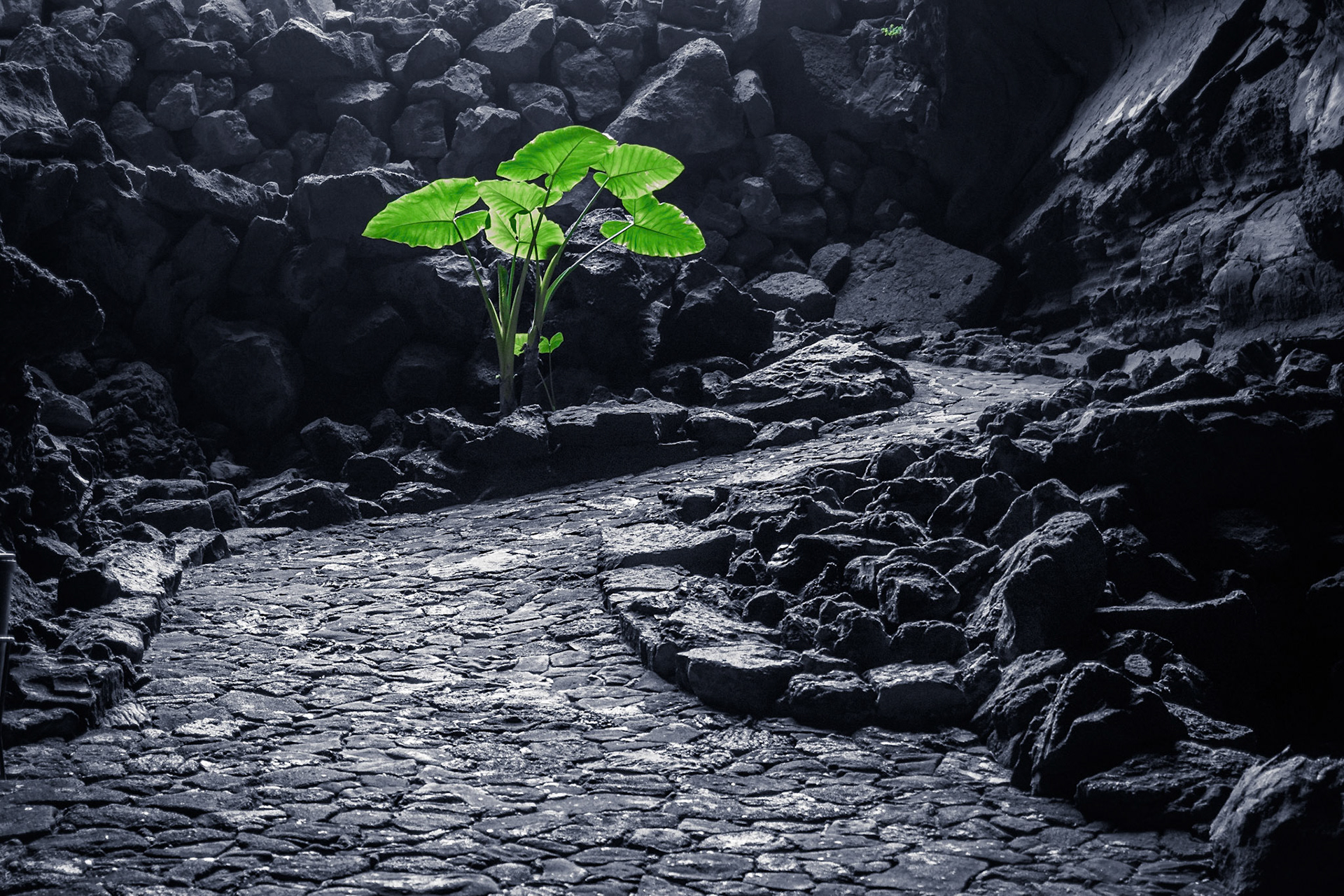 Abstieg in die Höhle der Cueva de los Verdes