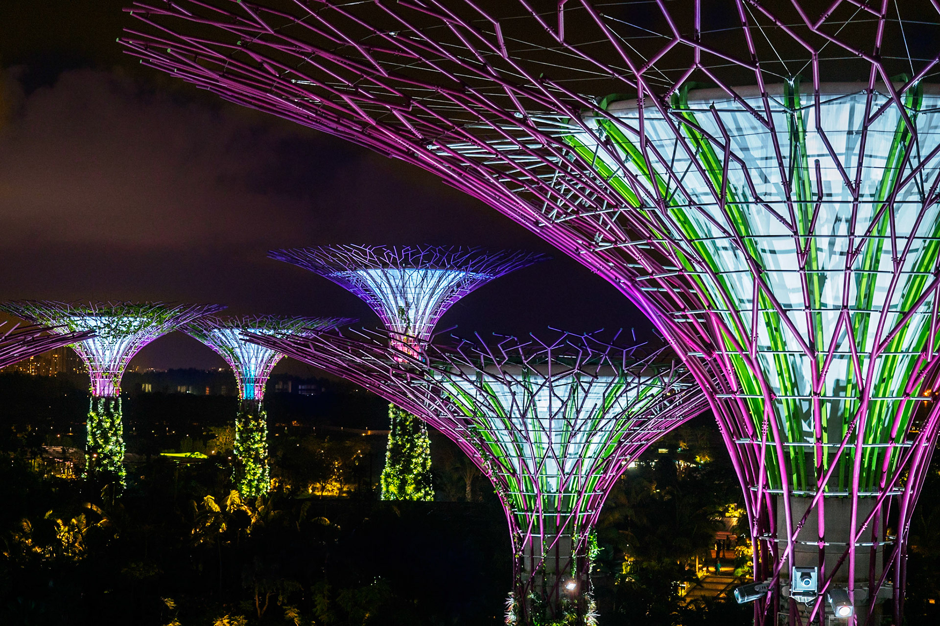 Gardens by the Bay, Singapur