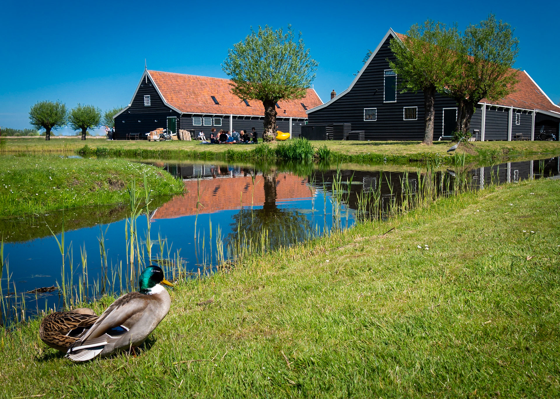 Zaanse Schans