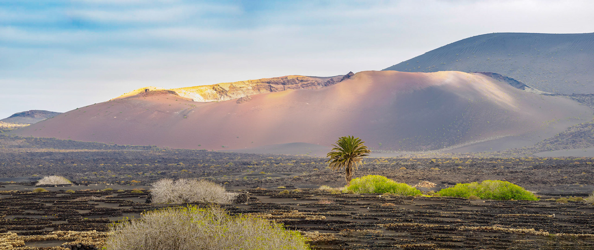 Blick über La Geria auf einen Vulkan