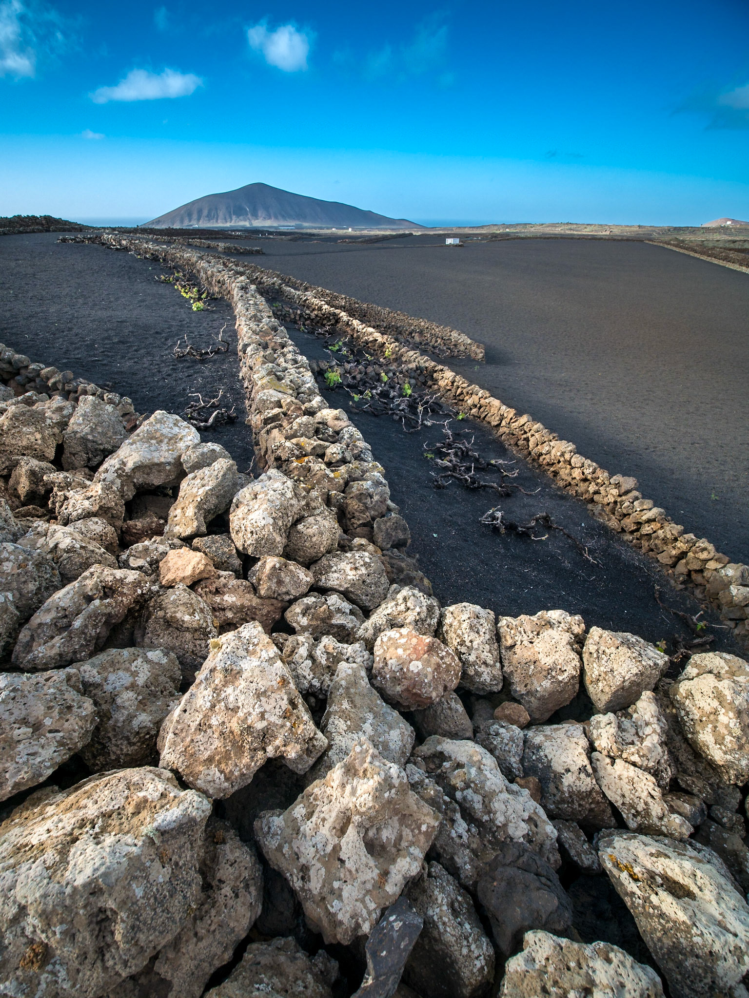 Blick über die Felder