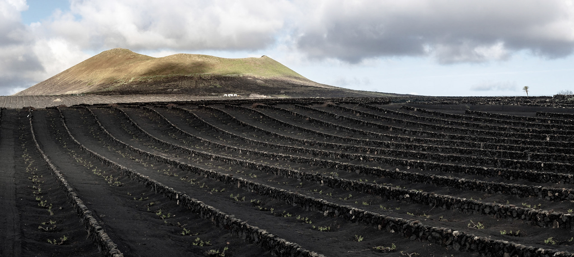 Landwirtschaft bei San Bartolomé