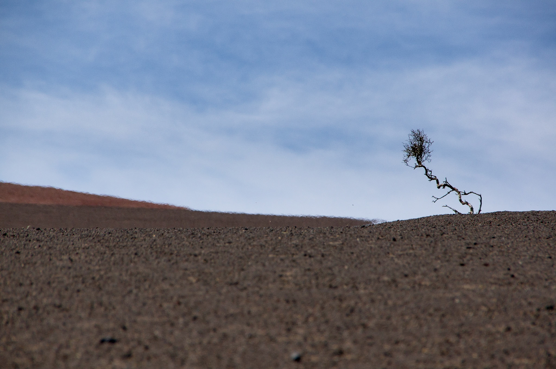 Letzter Halm (Timanfaya)