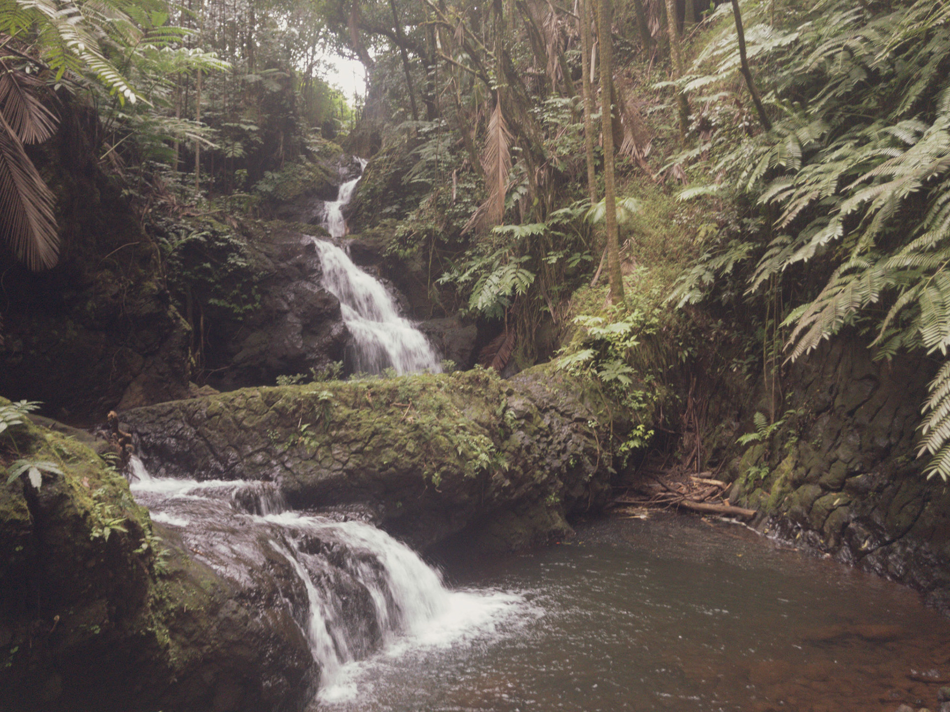 Hawaii Tropical Botanical Garden, Papaikou, HI. Feb 7, 2020