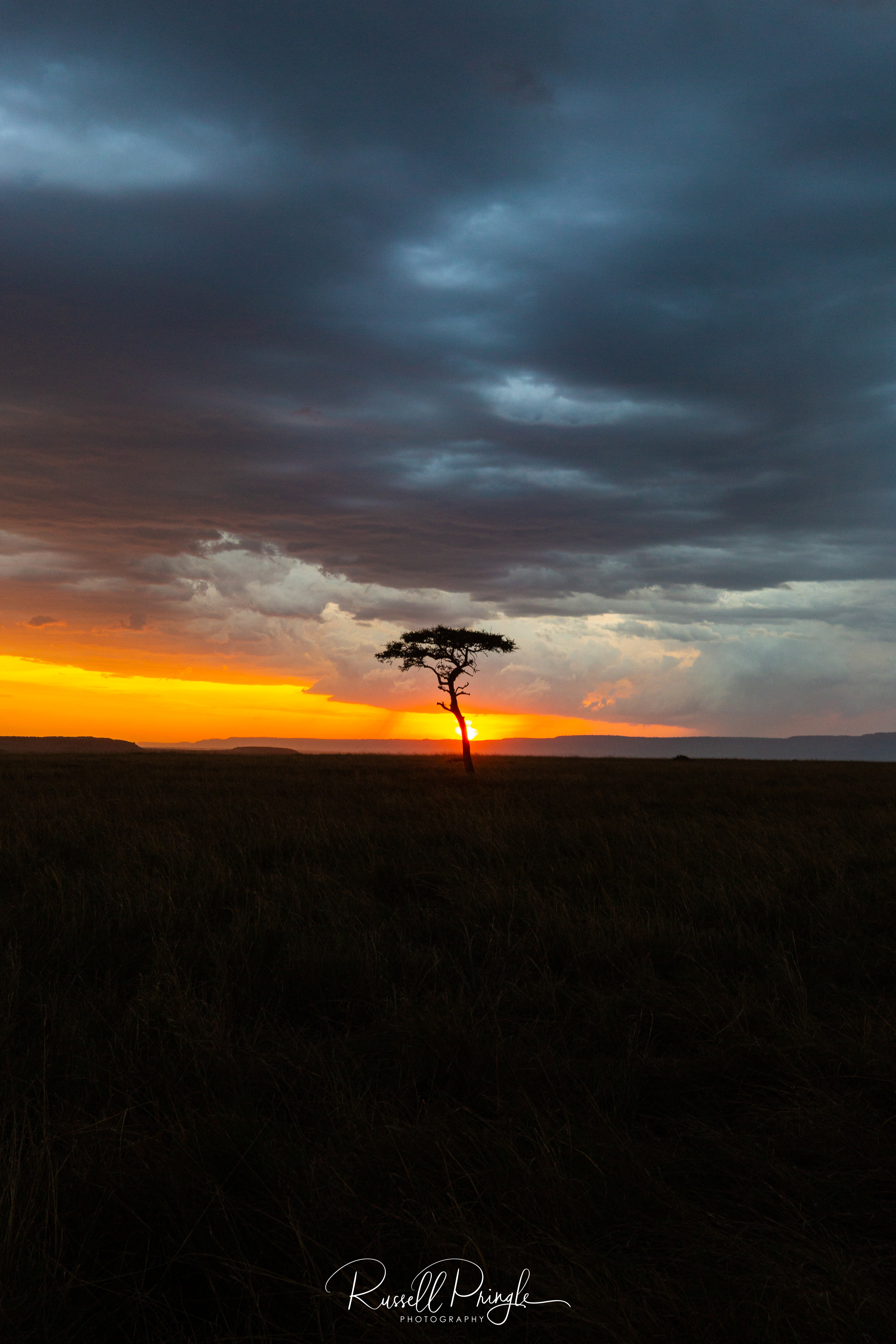 Masai Mara, Kenya