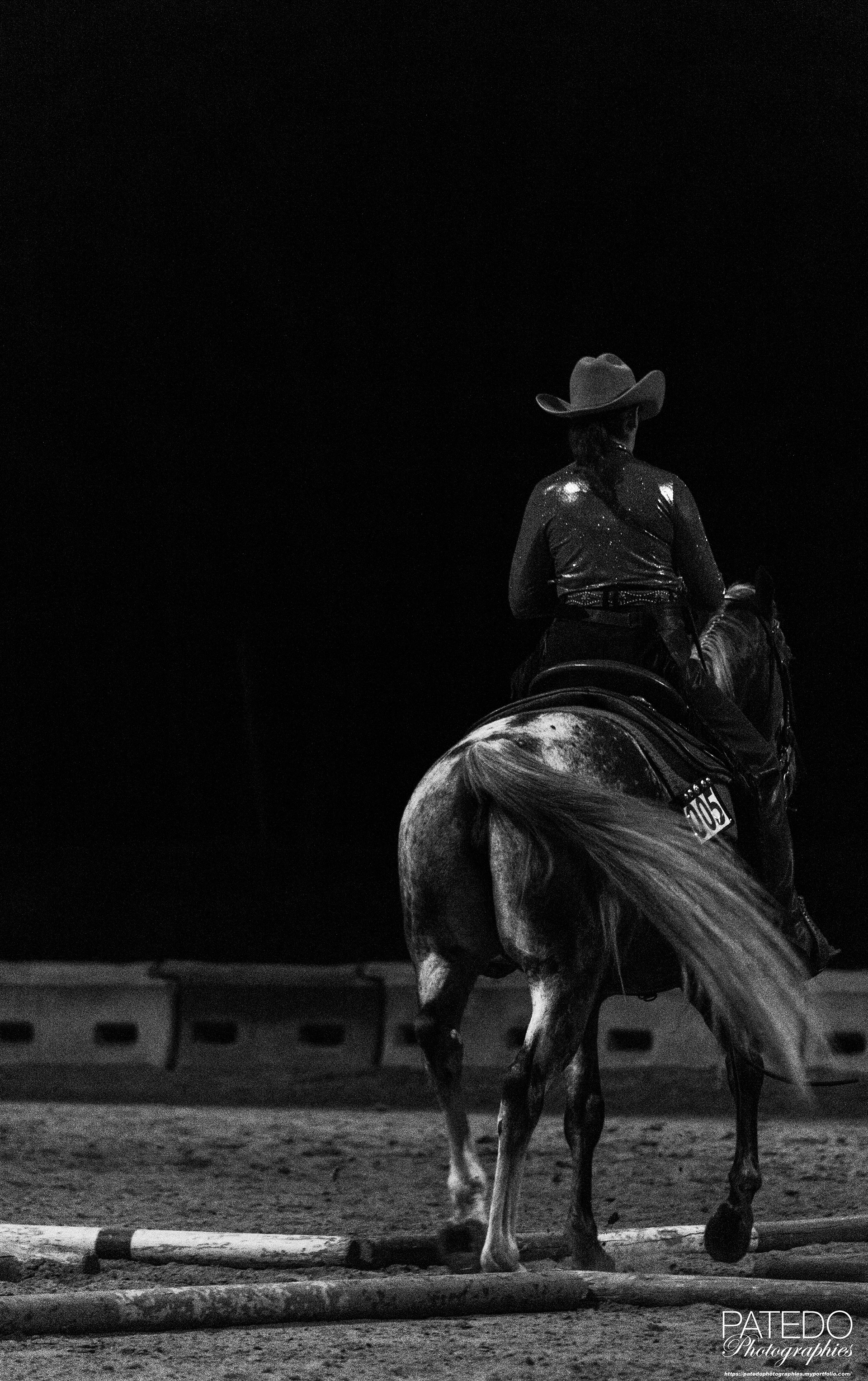 Equitation Western