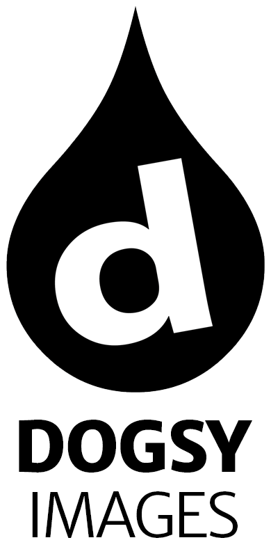 DOGSY IMAGES