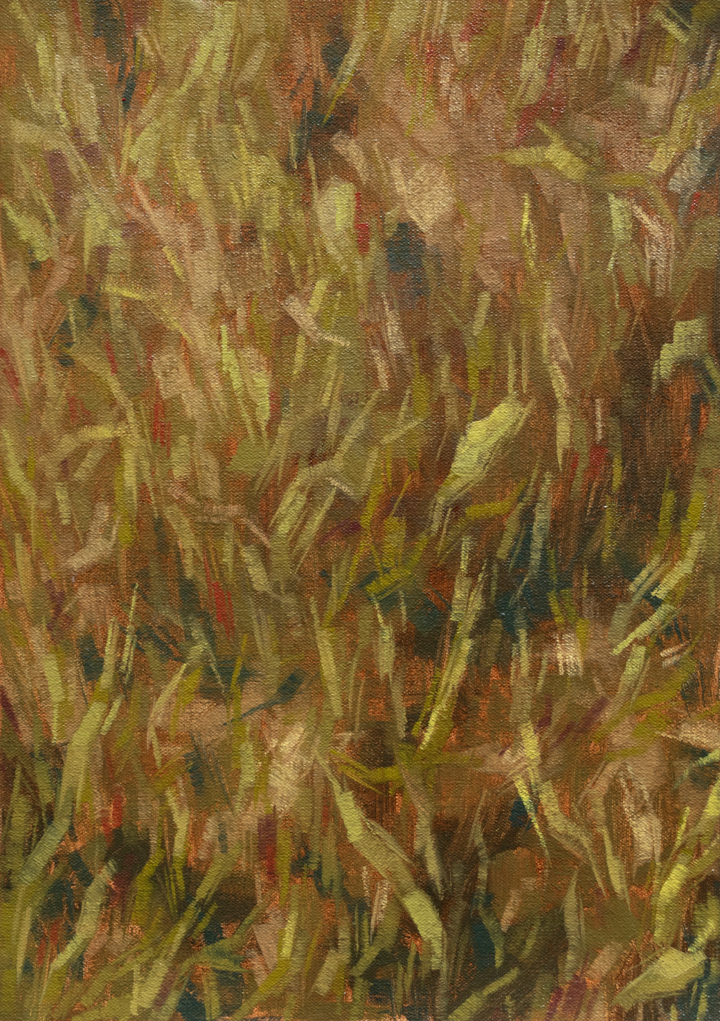 Grass