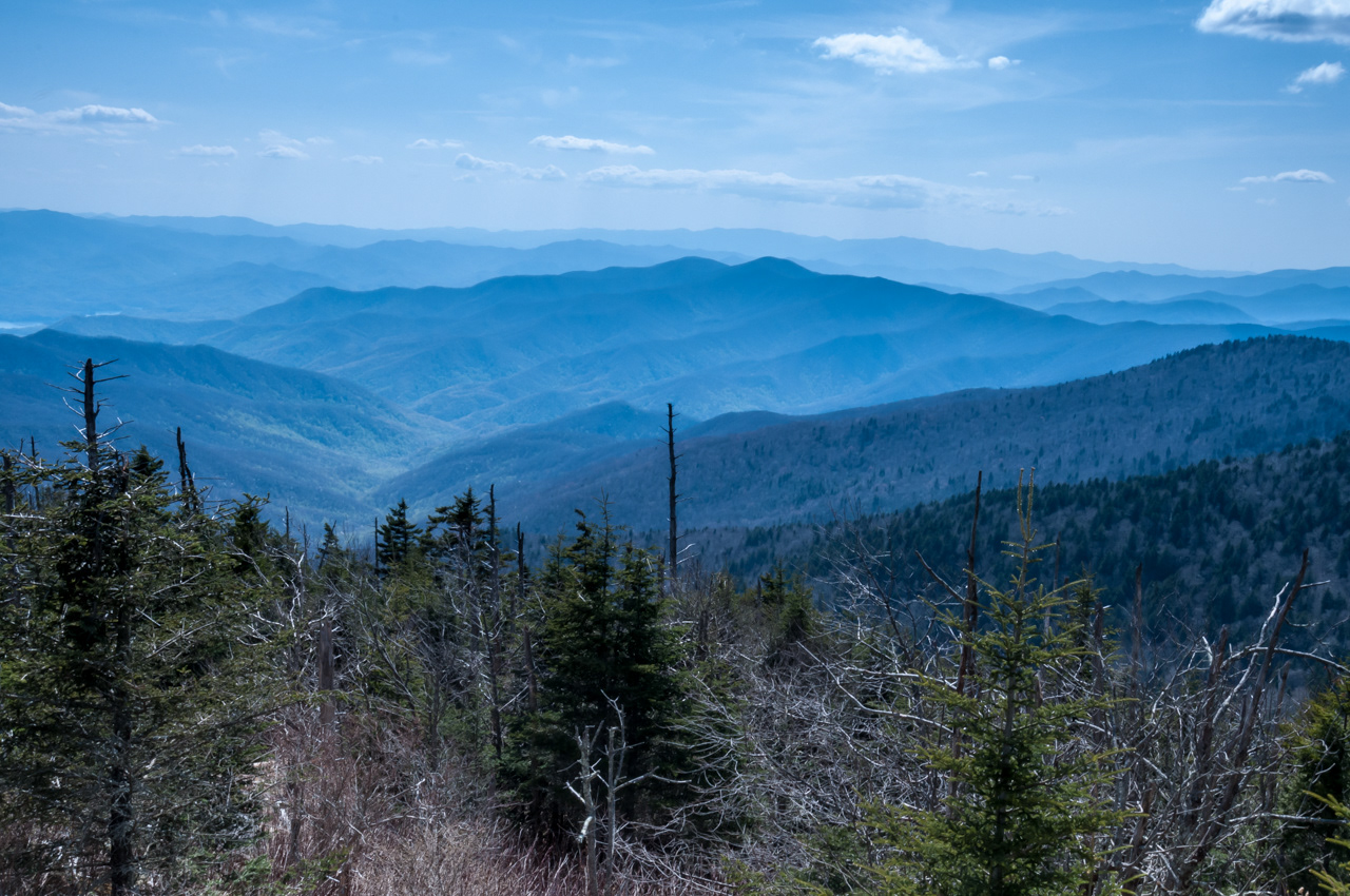 Atop Clingman's Dome Great Smokey Mountains National Park