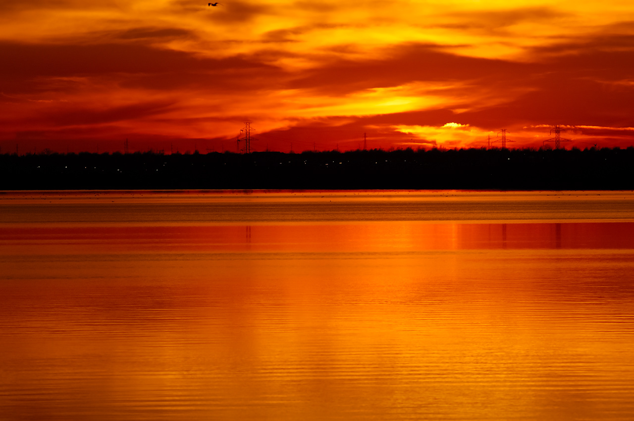 "Fire In The Sky" Sunset