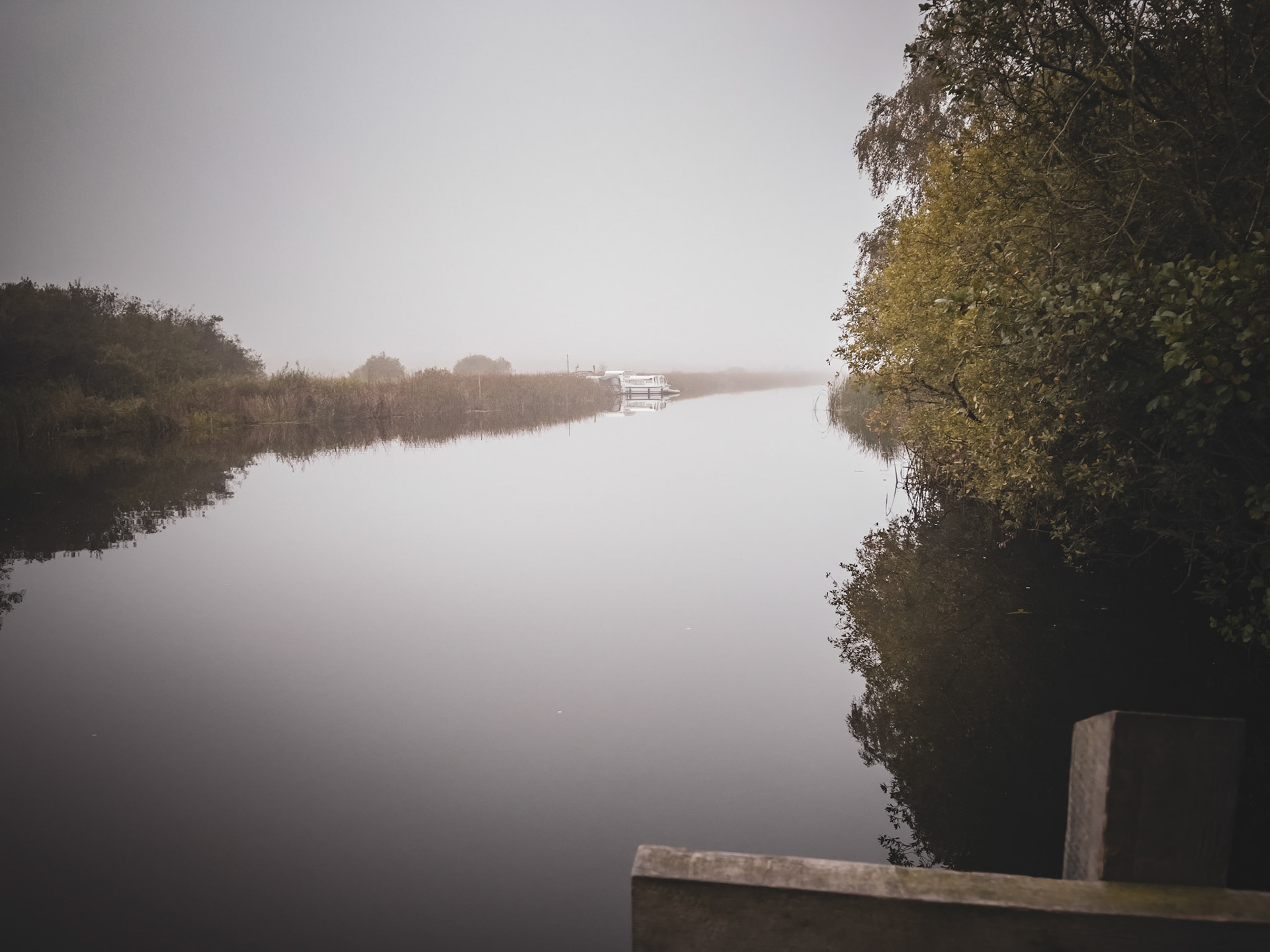 A cold misty morning at Sutton Staithe