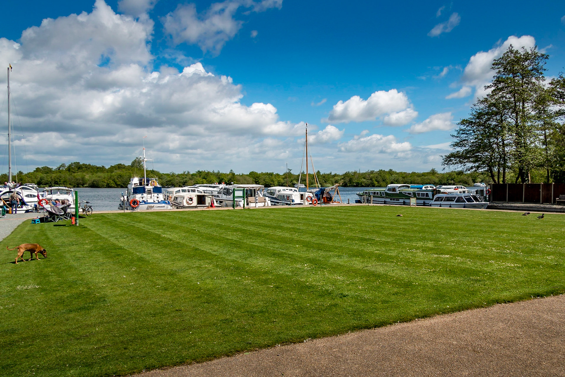 Ranworth Staithe in the sun