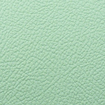 Sea Foam Green